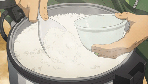 white rice gif